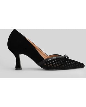 Isabel Ferranti Pumps In Black Velvet