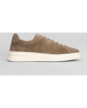 Henderson Sneakers In Taupe Suede - Gray