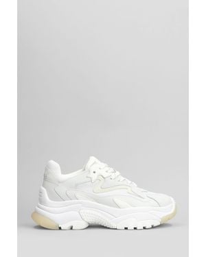 Ash Addict Sneakers - White