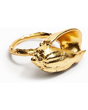 Desigual Zalio Plated Shell Ring - Metallic