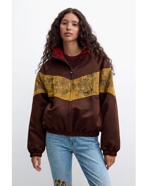 Desigual Null - Brown