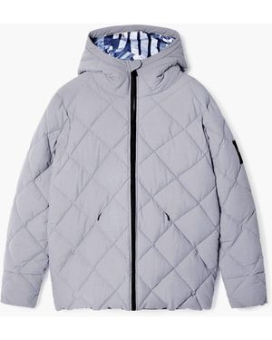 Desigual Abrigo Acolchado, Negro - Azul