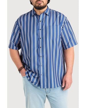 Synergy Big & Tall Abstract Striped Microfiber Sport Shirt - Blue