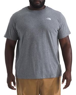 The North Face Big & Tall Big Evolution Dome T-Shirt - Gray