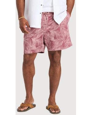 True Nation Big & Tall Trekker Shorts - Red