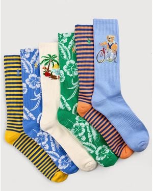 Polo Ralph Lauren Big & Tall Harbour Isle Bear 6-Pk Crew Socks - Blue