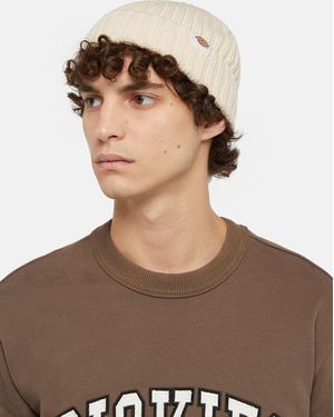 Dickies Berretto Lockwood - Marrone