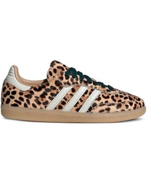 adidas Originals Leopardi Trainers - Brown