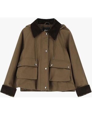 Dixie Giacca Con Colletto - Marrone
