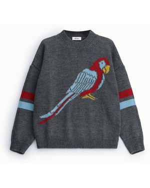 Dixie Pull Col Rond Motif Perroquet Jacquard - Bleu