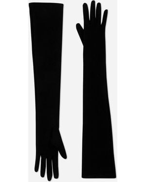 Dolce & Gabbana Lange Handschuhe Aus Jersey - Schwarz