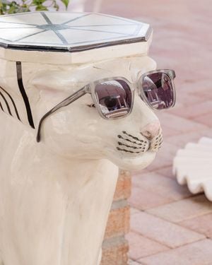 Draper James Sunglasses In Smoke Stripe - Natural