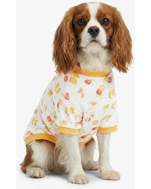 Draper James White Watercolor Citrus Sweatshirt - Multicolor