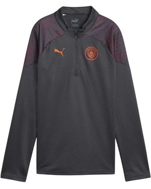 PUMA Manchester City Fc-Trainingsshirt Voor - Grijs