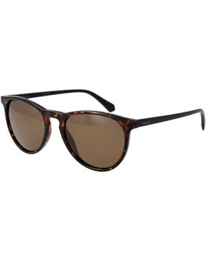 Polaroid Brown Plastic Sunglasses - Multicolour