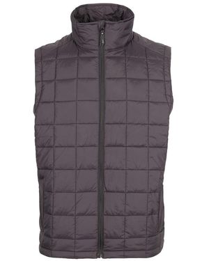 DLX Enoless Dlx Gilet - Purple