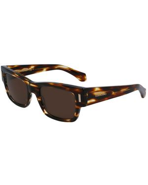 Ferragamo Acetate Sunglasses - Brown