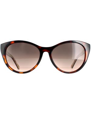 Ted Baker Cat Eye Tortoise Flower Gradient Tb1583 Lisbet Sunglasses - Brown