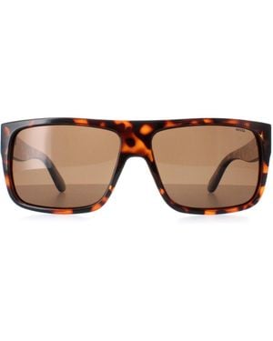 INVU Rectangle Demi Tortoise Polarized B2130 - Brown