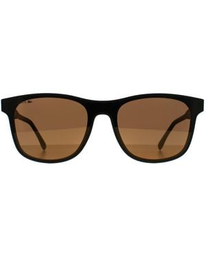 Lacoste Square Matte L907S - Brown