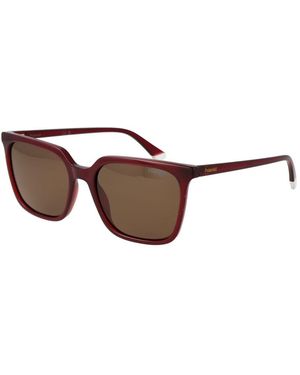 Polaroid Multicolour Plastic Sunglasses - Brown