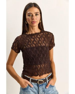 Bianco Lucci Lace Crew Neck Blouse - Brown