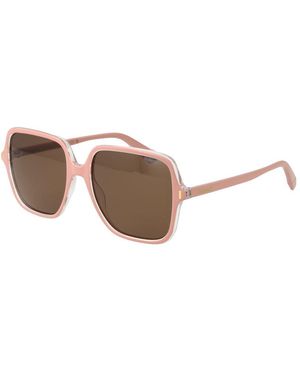 Polaroid Multicolour Plastic Sunglasses - Brown