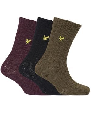 Lyle & Scott Grof Gebreide Sokken (Pak Van 3) (Veelkleurig) - Bruin