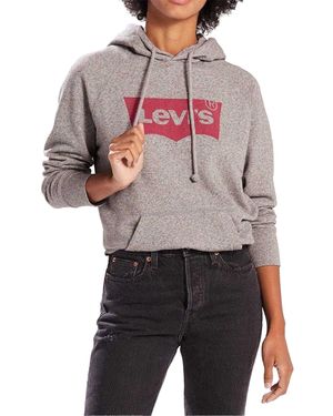 Levi's Oth Batwing Logo Hoodie - Grijs