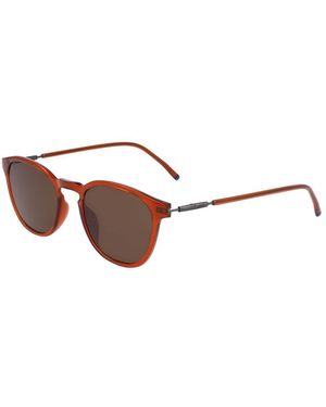 Zeiss Injected Sunglasses - Brown