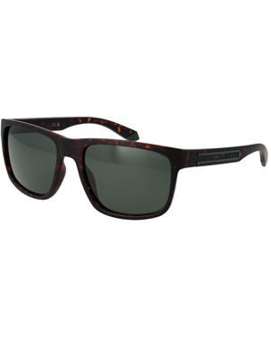Polaroid Plastic Sunglasses - Black