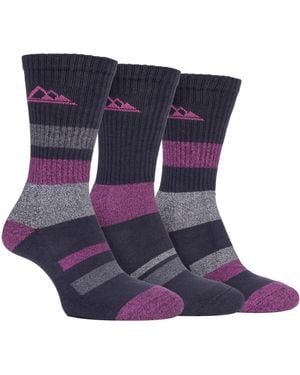 Storm Bloc 3 Pairs Ladies Anti Blister Cotton Hiking Socks With Padded Sole - Purple