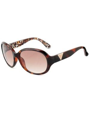 Guess Brown Acetate Sunglasses