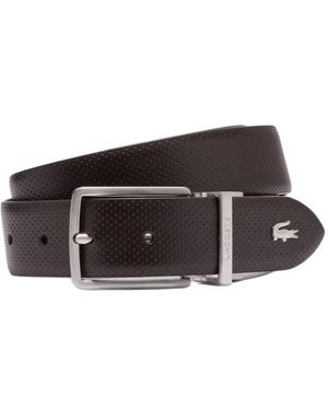 Lacoste Cinturones - Marrón