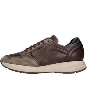 Exton Sneakers - Brown