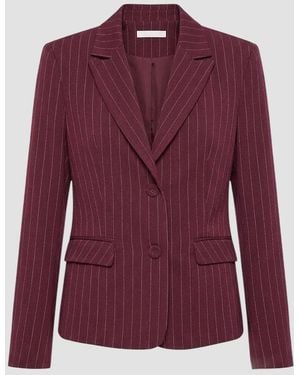 GAUDI Jacket - Purple