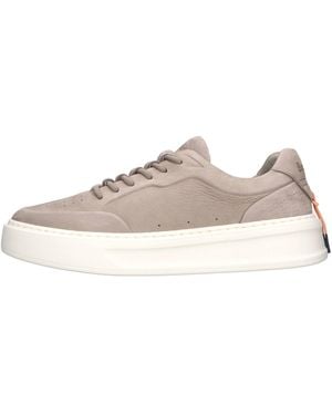 Barracuda Sneakers - Brown