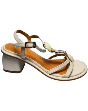 Apepazza S4Spicy01 Synthetic - Metallic