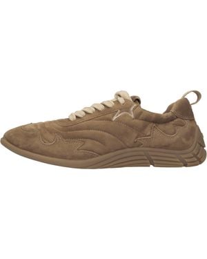 Ash Sneakers - Brown