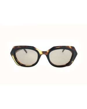 Catuma Sunglasses 10Kw-2S - Brown