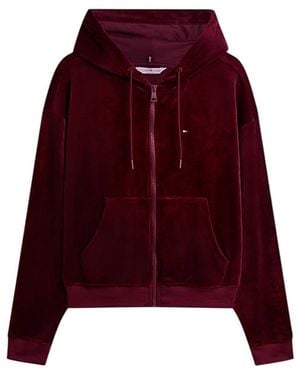 Tommy Hilfiger Sweaters Bordeaux - Red