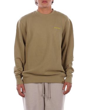 Dickies Sweatshirt Dk0A864H L201 Plentywood Sweatshirt - Natural