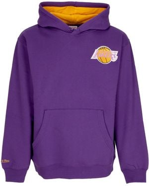Mitchell & Ness Hoodie Nba Premium Fleece Vintage Logo Hoodie Ervin Johnson Loslak - Purple