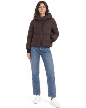 Add Chaquetas Marron - Azul