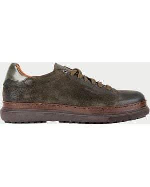 Exton Sneakers Groen - Bruin