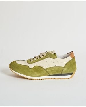 Exton Sneakers Vert