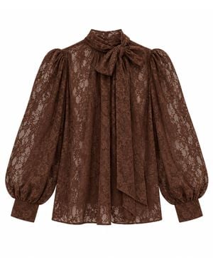 Aniye By I'M Not Here Lace - Brown