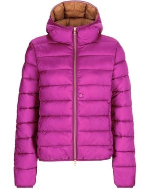 Conte Of Florence 6531119D - Rosa