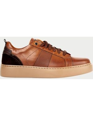 Exton Sneakers - Brown