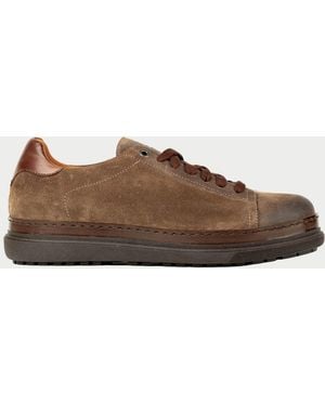 Exton Sneakers - Brown